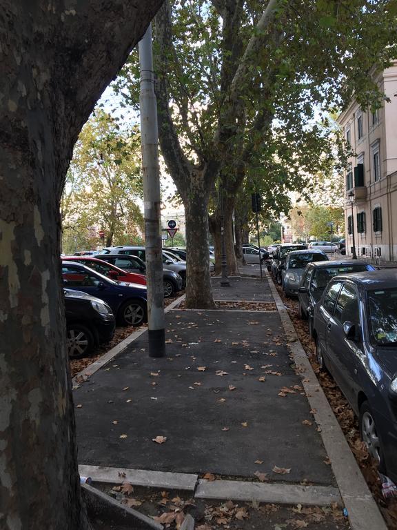 Giulio Cesare Luxury Apartment Roma Exterior foto